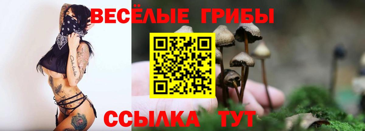 Псилоцибиновые грибы Magic Shrooms  Вход с VPN  Псилоцибиновые грибы Cubensis  Киселёвск 